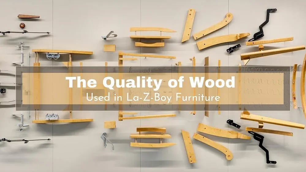 Quality of lazy sales boy furniture